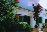 Image: Luxury Villa
